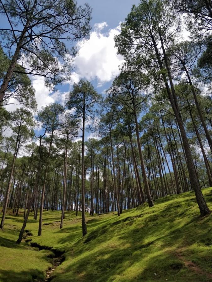 The Frostwood Resort Ranikhet Dış mekan fotoğraf